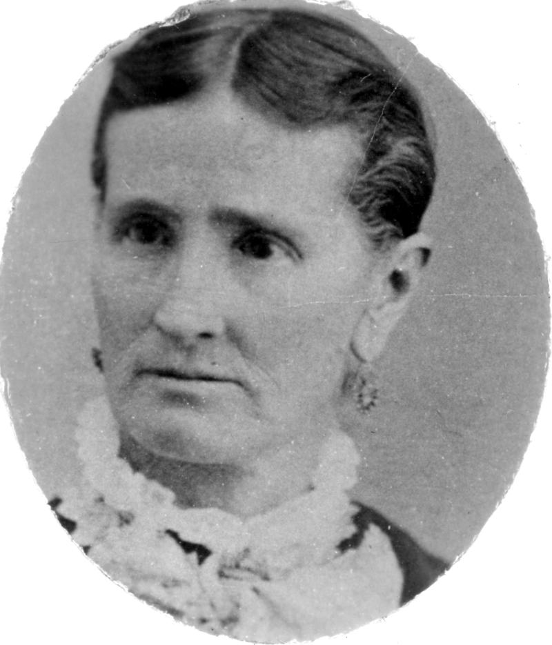 Hannah Wardle Spencer (1829 - 1906) Profile
